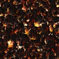 Abstract fire (dark coal)