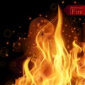 Abstract fire flames vector background. Illustration Hot Fire Royalty Free Stock Photo