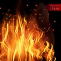 Abstract fire flames vector background. Illustration Hot Fire Royalty Free Stock Photo