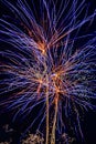 Abstract Fireworks Display