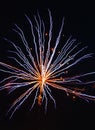 Abstract Fireworks Display