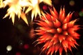 Abstract Fireworks in the Night Sky