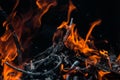 Abstract flame background: fire burning brushwood Royalty Free Stock Photo