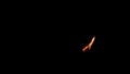 Abstract flame fire black background. Royalty Free Stock Photo