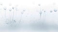 Abstract floating bubbles on subtle white background with delicate patterns