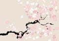 Abstract floral background. cherry blossom.