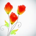 Abstract floral background, elegant tulips flowers.