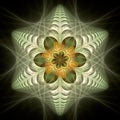 Abstract floral background. Fractal digital artwork