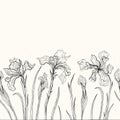 Abstract floral background. Iris. Royalty Free Stock Photo