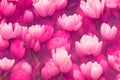 Abstract floral background of rich bright pink color from buds, flowers and petals of tulips, magnolias or peonies Royalty Free Stock Photo