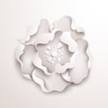 Abstract floral background. White paper flower Royalty Free Stock Photo