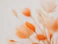 Abstract Floral Composition with Orange and White Tones. Royalty Free Stock Photo