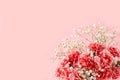 Abstract floral composition, spring background. Carnations on pink background, minimal holiday concept. Postcard for womens day or