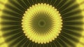 Abstract floral kaleidoscopic pattern of yellow color, seamless loop. Motion. Sunflower circles with transforming petals Royalty Free Stock Photo