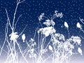 Abstract floral nature background with silhouettes birds sitting on dry wildflowers on winter snowy day