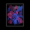 Abstract floral posters template. Modern trendy Matisse minimal style. Pink and blue colors