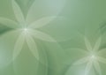 Abstract Floral on Sage Green Background