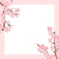 Abstract Floral Sakura Flower Japanese Natural Background Vector Illustration