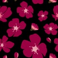 Abstract Floral Sakura Flower Japanese Natural Seamless Pattern