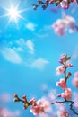 Abstract floral spring background Royalty Free Stock Photo