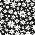 Abstract floral star anise spice theme seamless black and white pattern eps10