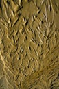 Abstract flow pattern in wet sand