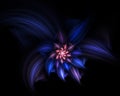 Abstract flower