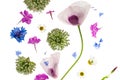 Abstract flower background