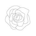 Abstract flower in contour style. Blooming rose icon. Modern flower in a linear style. Royalty Free Stock Photo