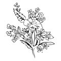 Abstract flower, fantasy blossom, coloring pictures, monochrome sketch, doodle plants, black and white illustration