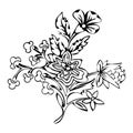 Abstract flower, fantasy blossom, coloring pictures, monochrome sketch, doodle plants, black and white vector