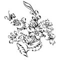 Abstract flower, fantasy blossom, coloring pictures, monochrome sketch, doodle plants, black and white vector