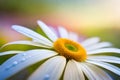 abstract flower macro photography, floral background, fresh blooming created with generative ai technology Royalty Free Stock Photo