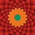 Abstract flower mandala decorative pattern red background square
