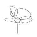 Abstract flower one line drawing minimalism design on white background vector illustration minimalist style Royalty Free Stock Photo