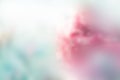 Abstract flower pastel blur for background, soft and blur concept Royalty Free Stock Photo