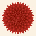 Abstract flower, red chrysanthemum. Vector illustration