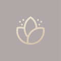 Abstract flower tulip design vector logo template. Lotus SPA icon. Cosmetic florist symbol Hotel Garden Beauty salon Logotype