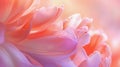 Abstract flower vibrant, dreamy background copy space. Spring summer banner Royalty Free Stock Photo