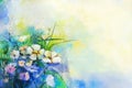 Abstract flower watercolor painting. Hand paint meadow flowers Royalty Free Stock Photo