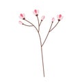 Abstract flowering branch in trendy soft shades. Hand drawn design elements for spring greetings