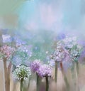 Abstract flowering Onion painting Royalty Free Stock Photo