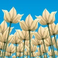 Abstract flowers, bottom view against the blue sky, vector illustration, colorful drawing. Drawn yellow white buds, petals