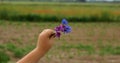 Abstract flowers in a child`s hand.