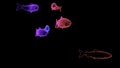 Abstract flowing silhouettes of colorful fishes isolated on a black background Design. Marine creatures holograms Royalty Free Stock Photo