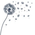 Abstract fluffy dandelion. Vector illustration