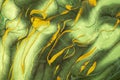 Abstract fluid art background green and olive colors. Liquid marble. Acrylic painting with golden lines and gradient Royalty Free Stock Photo