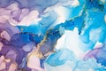Luxury abstract fluid art painting background in alcohol ink technique, mixture of sky blue, purple and gold paints. Royalty Free Stock Photo