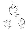 Abstract flying dove set