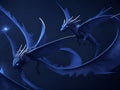 Abstract flying dragons on a dark blue background